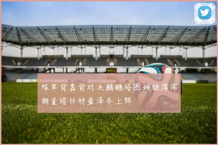 绿军背靠背对决鹈鹕塔图姆缺席布朗奎塔怀特豪泽齐上阵