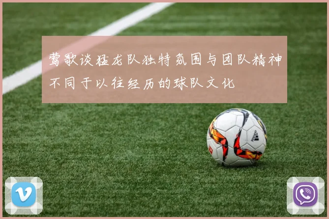莺歌谈猛龙队独特氛围与团队精神不同于以往经历的球队文化